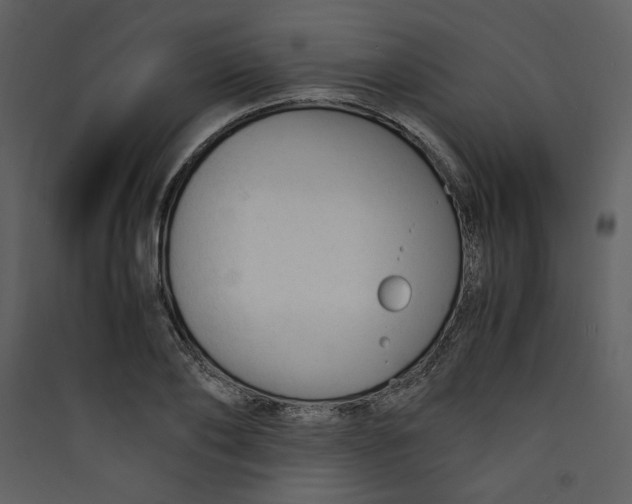 X0000089360886200707131613