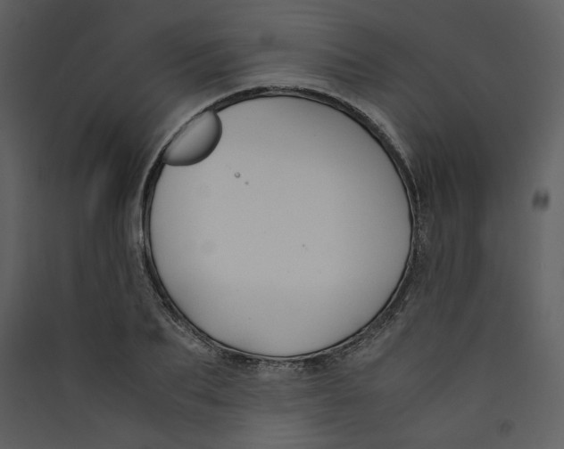 X0000089360887200707131613