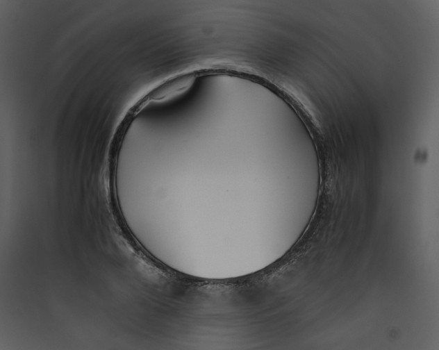 X0000089360888200707131613
