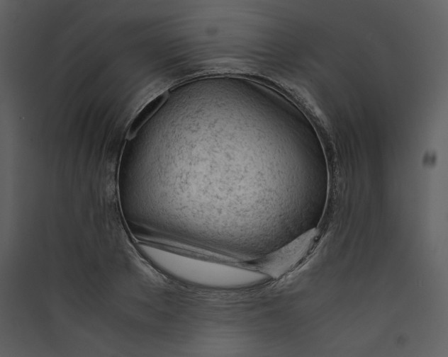 X0000089360889200707131613