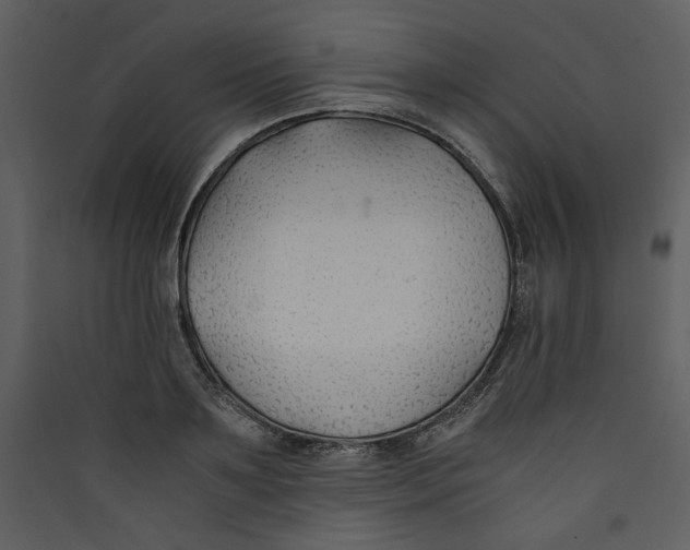 X0000089360891200707131613