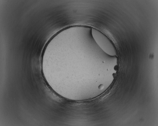 X0000089360892200707131613