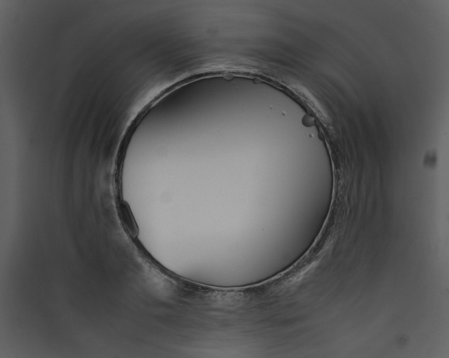 X0000089360893200707131613