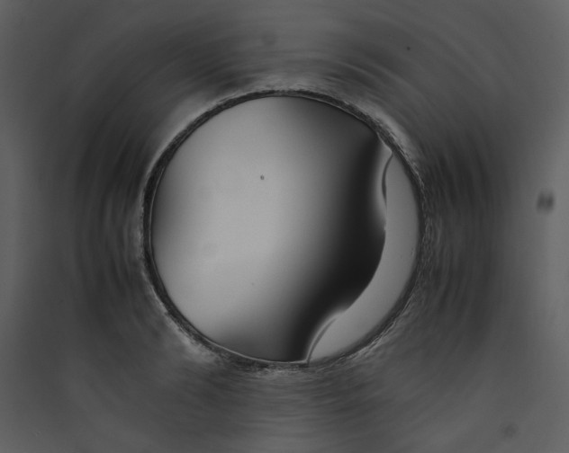 X0000089360894200707131613