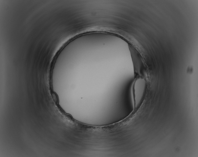 X0000089360896200707131612