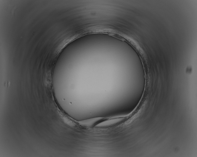 X0000089360897200707131612