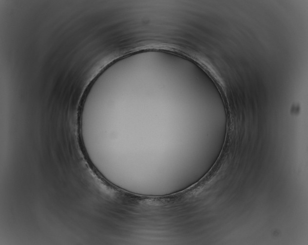 X0000089360898200707131612