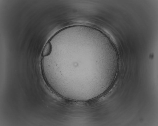 X0000089360899200707131612