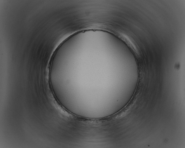 X0000089360900200707131612