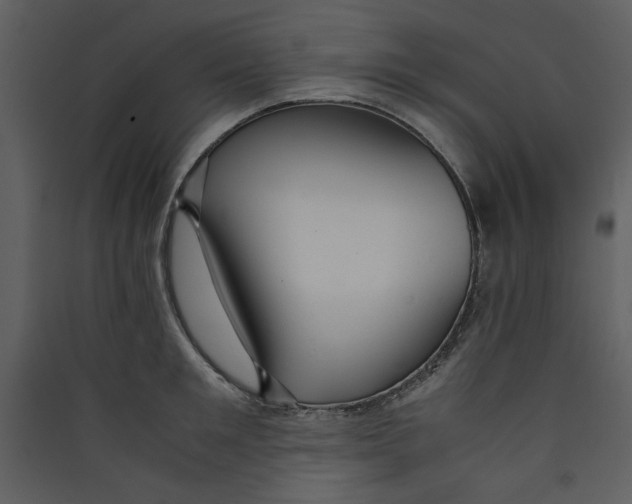X0000089360901200707131612
