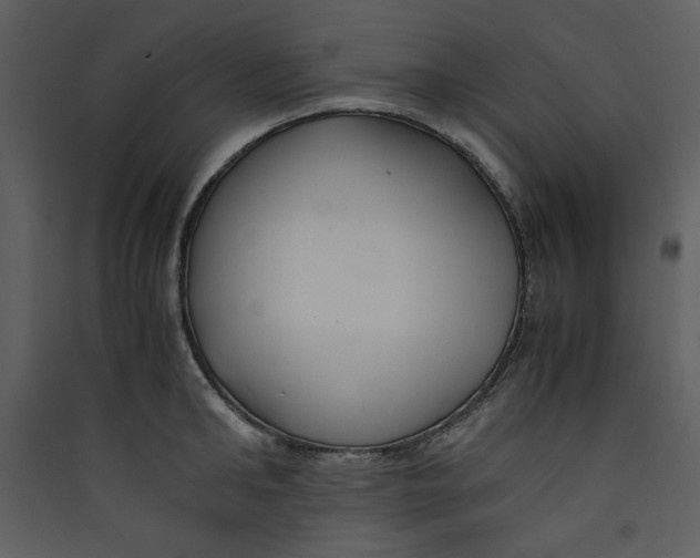 X0000089360902200707131612