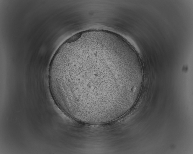 X0000089360903200707131612