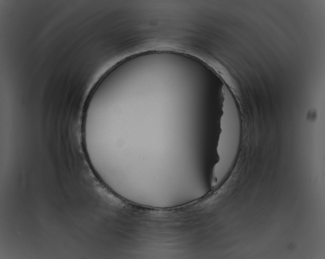 X0000089360904200707131612