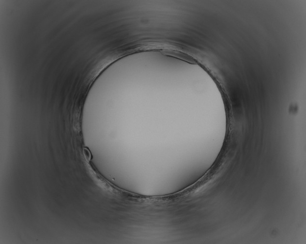 X0000089360905200707131612