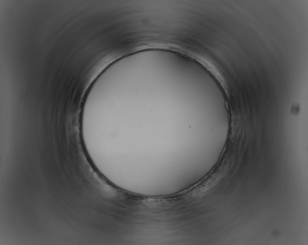 X0000089360906200707131612