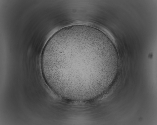 X0000089360907200707131612