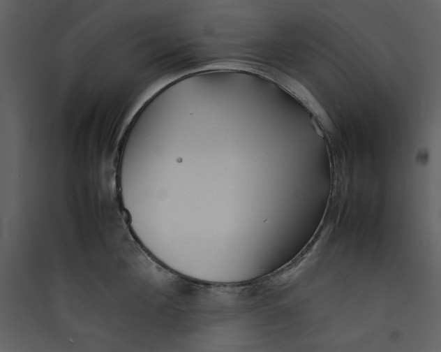 X0000089360908200707131612
