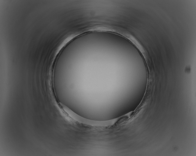 X0000089360909200707131612