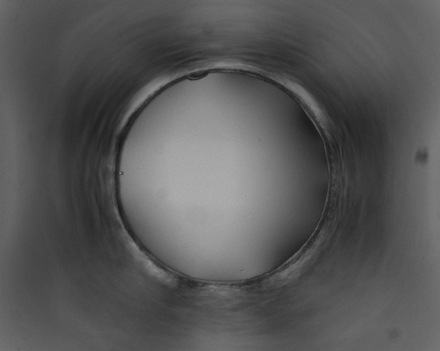 X0000089360910200707131612