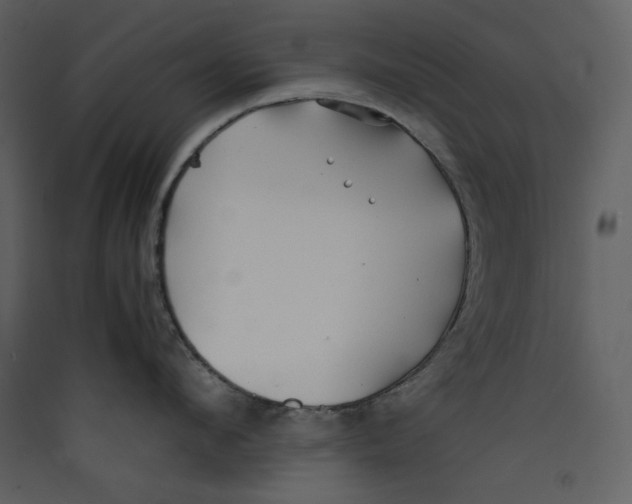 X0000089360912200707131612