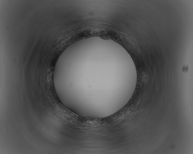 X0000089360914200707131612
