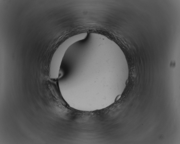 X0000089360916200707131612