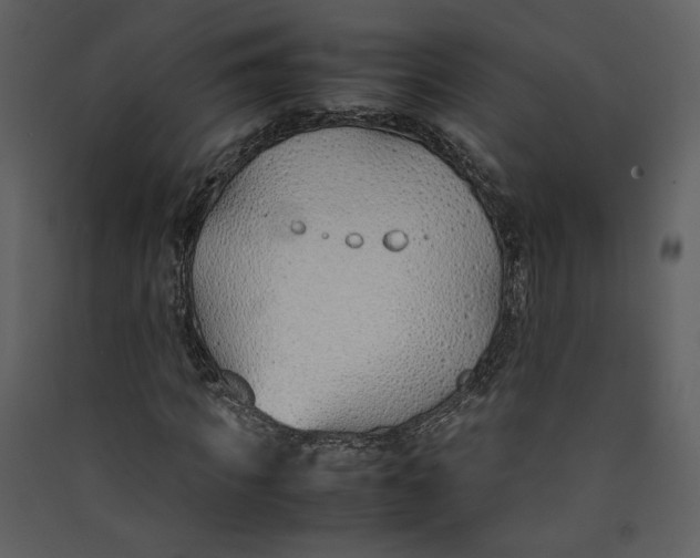 X0000089360917200707131612