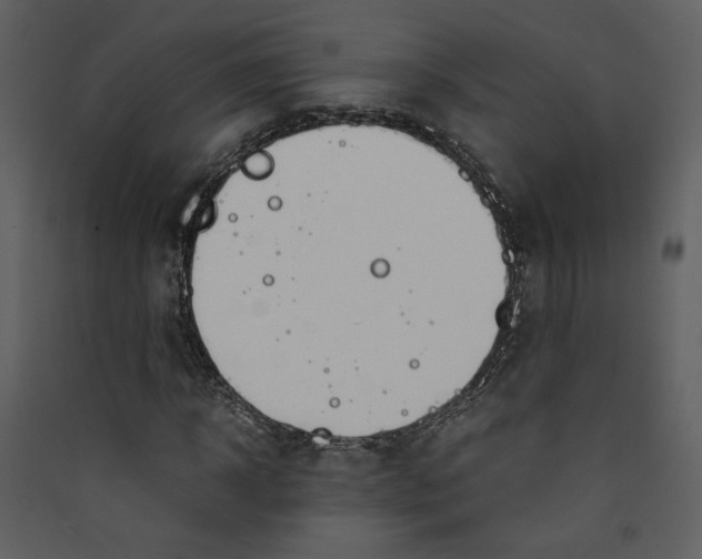 X0000089360918200707131612