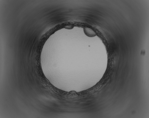 X0000089360919200707131612