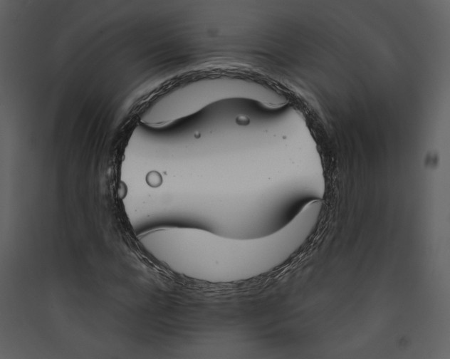 X0000089360920200707131612