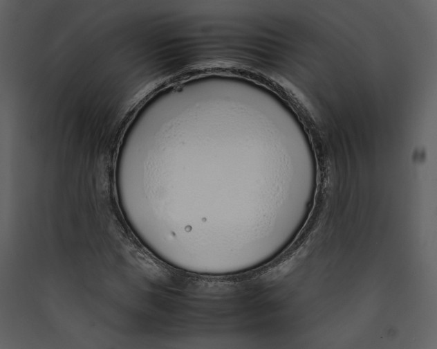 X0000089360921200707131612