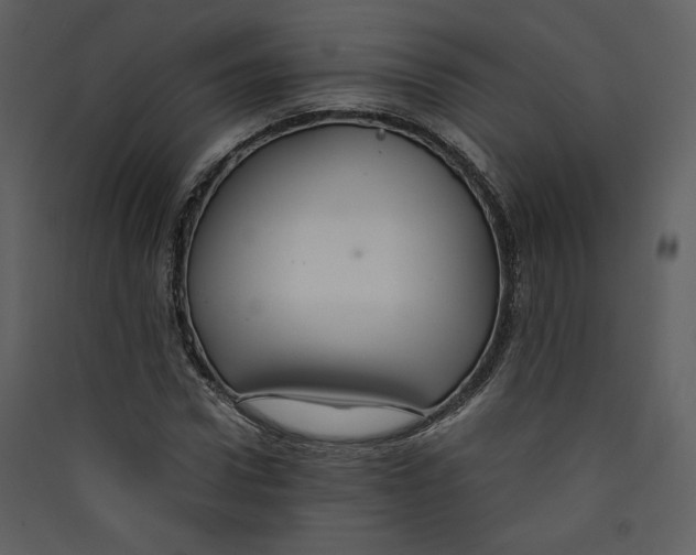X0000089360922200707131612
