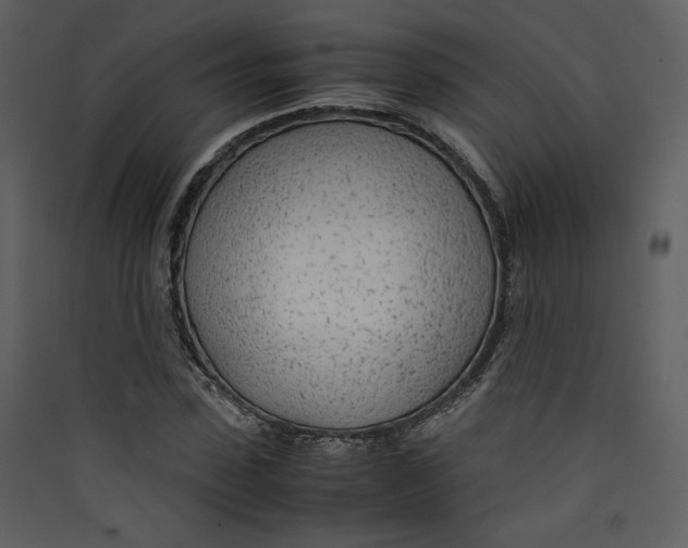 X0000089360923200707131612