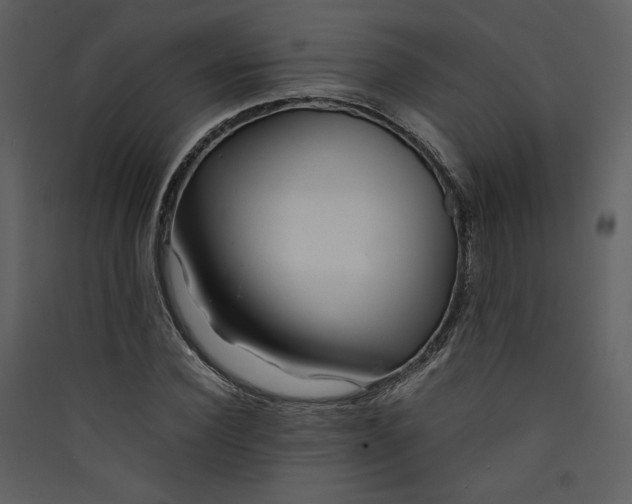 X0000089360924200707131612