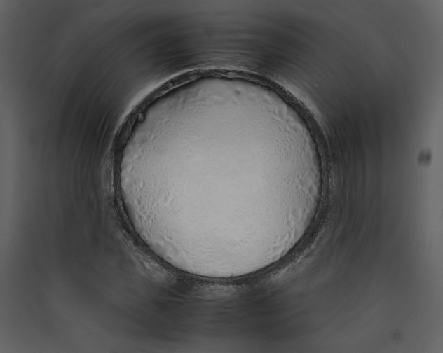 X0000089360925200707131612