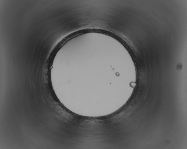 X0000089360926200707131612