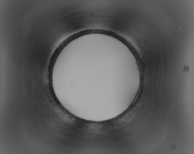 X0000089360927200707131612
