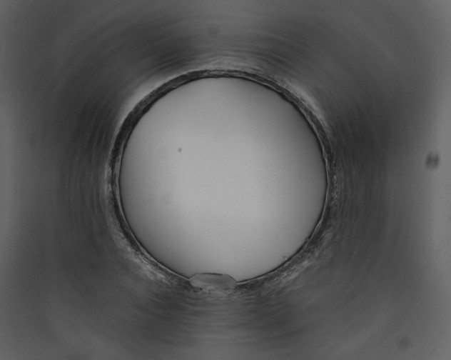 X0000089360928200707131612