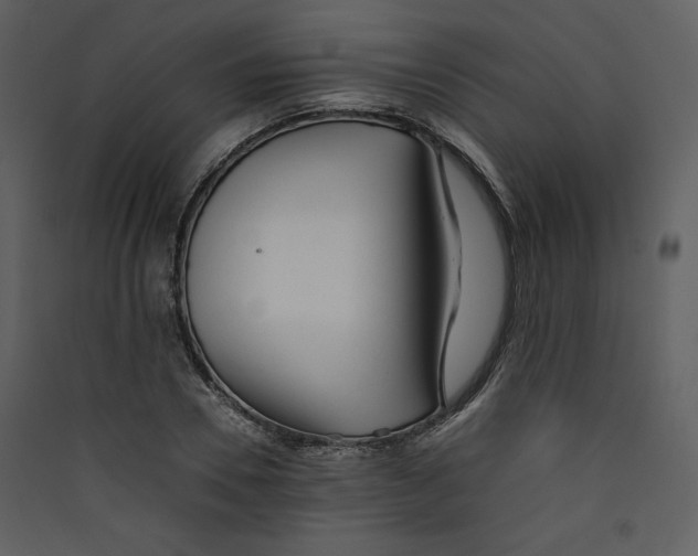 X0000089360930200707131612