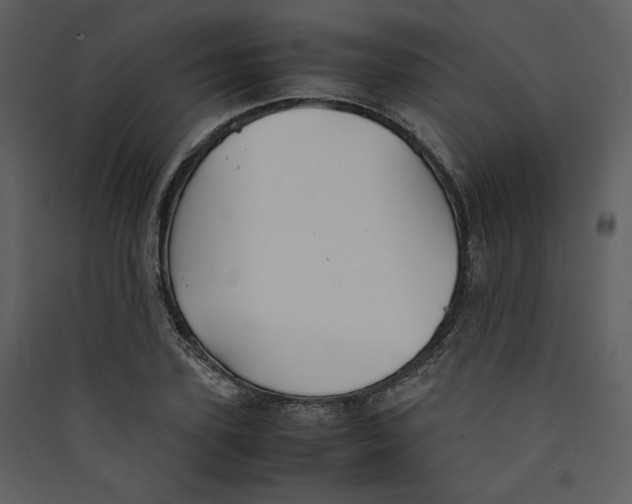 X0000089360931200707131612