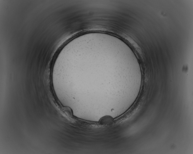 X0000089360933200707131612