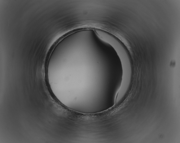 X0000089360936200707131612