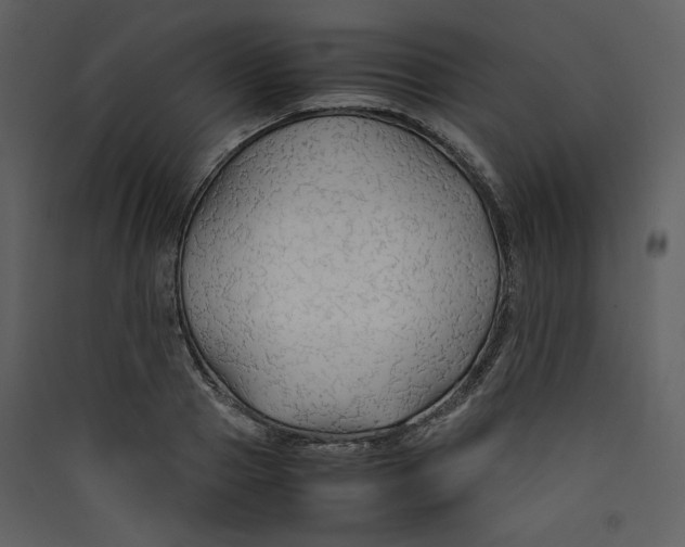 X0000089360937200707131612