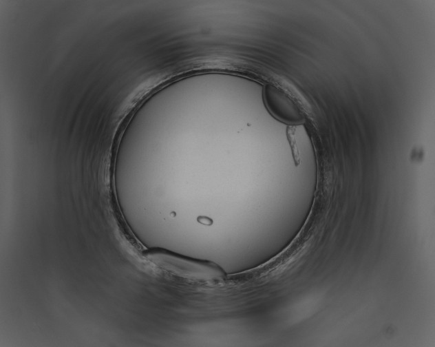 X0000089360938200707131612