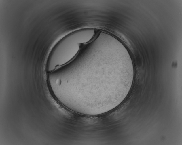 X0000089360939200707131612