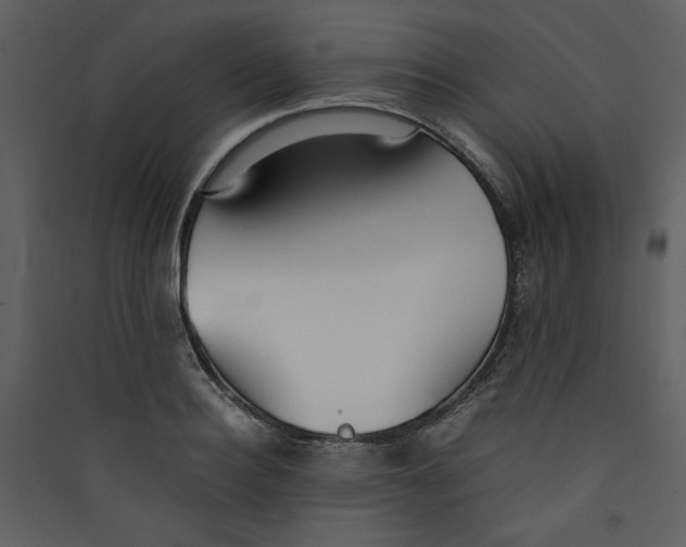 X0000089360940200707131612