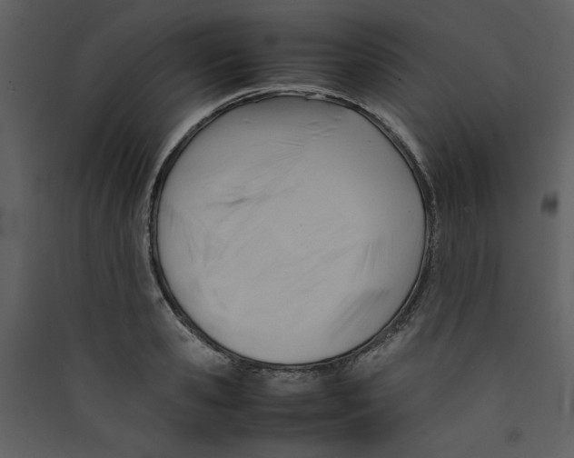X0000089360941200707131612