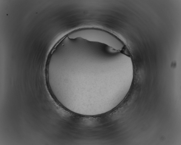 X0000089360943200707131612