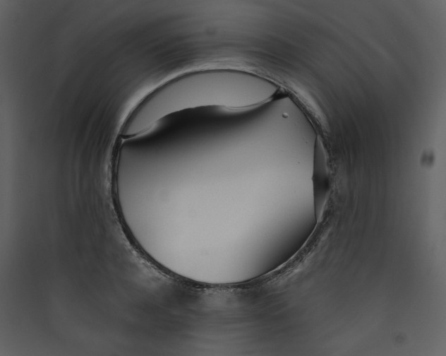 X0000089360944200707131612