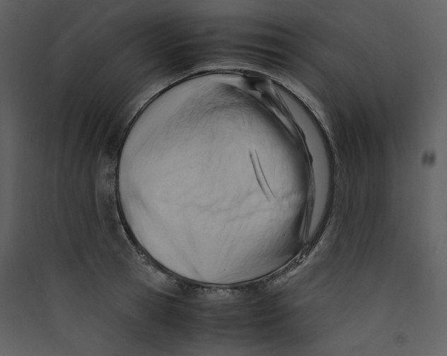 X0000089360945200707131612